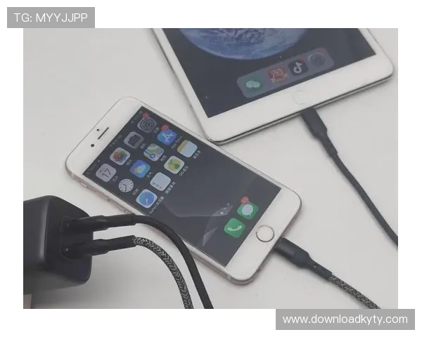 开云手机官方入口多平台兼容使用指南，支持多设备多场景畅享智能体验