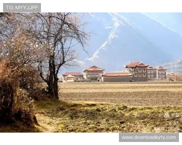 寻找开云真人的最佳地点和官方推荐的访问方式全方位解答你的疑问