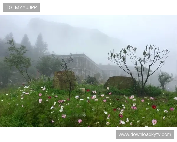 开云如何取钱详细操作流程及常见问题解答指南